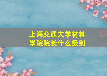 上海交通大学材料学院院长什么级别