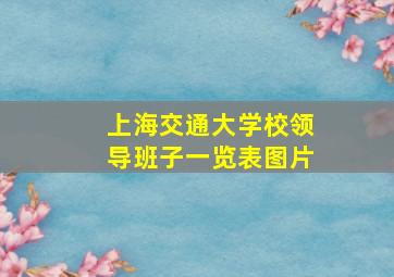 上海交通大学校领导班子一览表图片