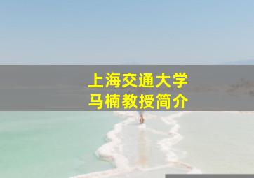 上海交通大学马楠教授简介