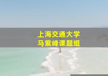 上海交通大学马紫峰课题组