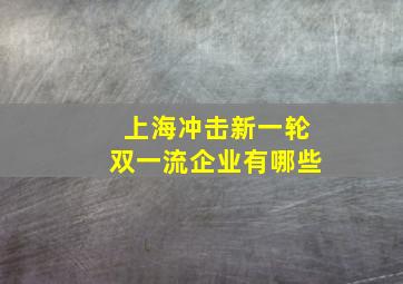 上海冲击新一轮双一流企业有哪些