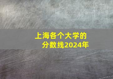 上海各个大学的分数线2024年