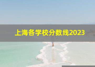 上海各学校分数线2023