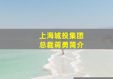 上海城投集团总裁蒋勇简介