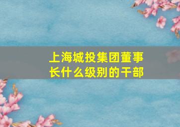 上海城投集团董事长什么级别的干部