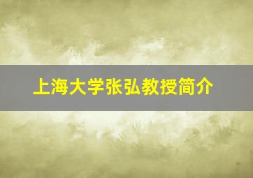 上海大学张弘教授简介