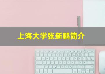 上海大学张新鹏简介