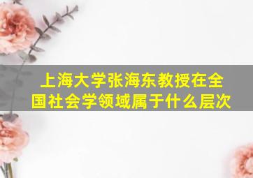 上海大学张海东教授在全国社会学领域属于什么层次