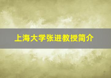 上海大学张进教授简介