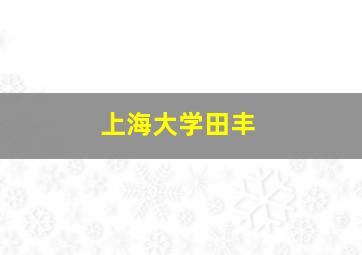 上海大学田丰