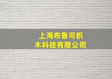 上海布鲁可积木科技有限公司