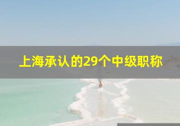 上海承认的29个中级职称