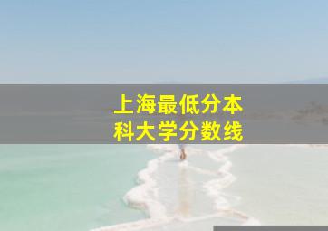 上海最低分本科大学分数线