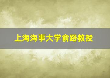 上海海事大学俞路教授