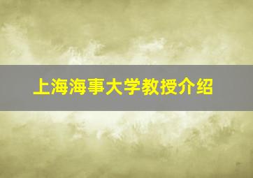 上海海事大学教授介绍