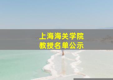 上海海关学院教授名单公示