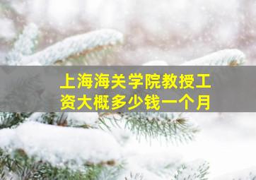 上海海关学院教授工资大概多少钱一个月