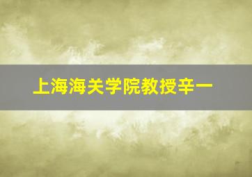 上海海关学院教授辛一