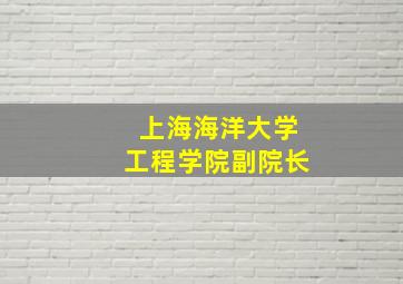 上海海洋大学工程学院副院长