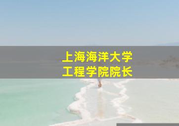 上海海洋大学工程学院院长