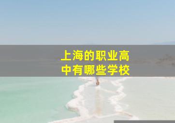 上海的职业高中有哪些学校