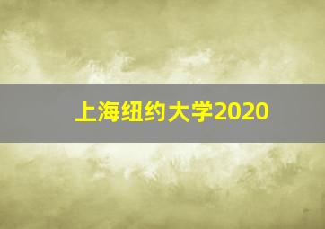 上海纽约大学2020