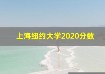 上海纽约大学2020分数