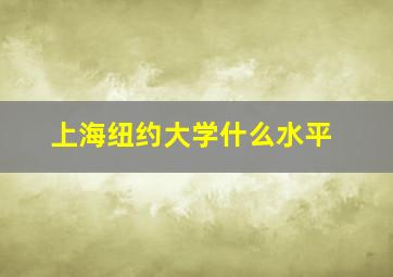 上海纽约大学什么水平