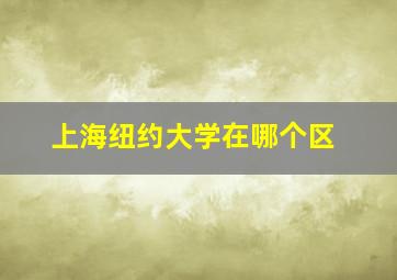 上海纽约大学在哪个区