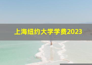 上海纽约大学学费2023