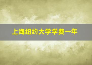 上海纽约大学学费一年