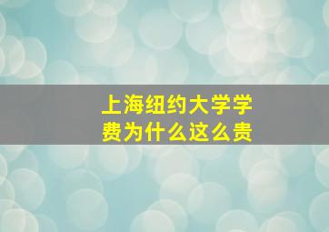 上海纽约大学学费为什么这么贵