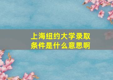 上海纽约大学录取条件是什么意思啊