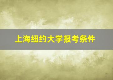 上海纽约大学报考条件