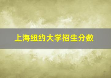 上海纽约大学招生分数