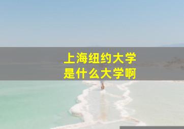 上海纽约大学是什么大学啊