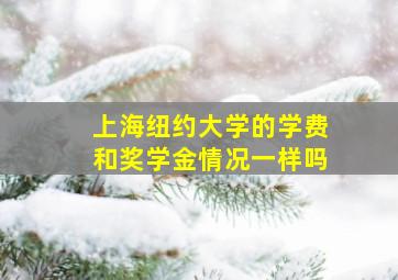 上海纽约大学的学费和奖学金情况一样吗