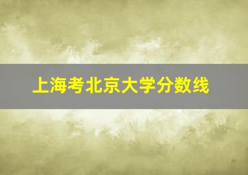 上海考北京大学分数线