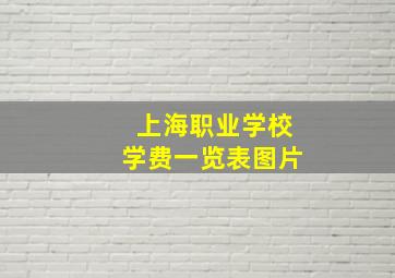 上海职业学校学费一览表图片