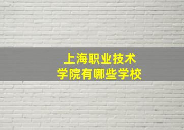 上海职业技术学院有哪些学校