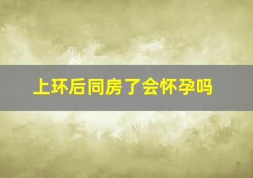 上环后同房了会怀孕吗