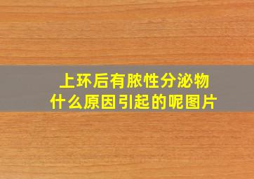 上环后有脓性分泌物什么原因引起的呢图片