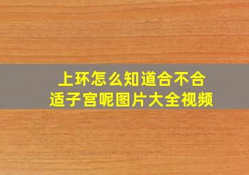 上环怎么知道合不合适子宫呢图片大全视频