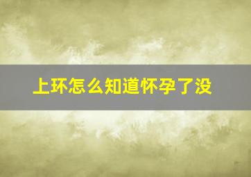 上环怎么知道怀孕了没