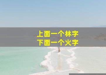 上面一个林字下面一个火字