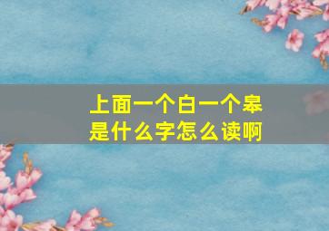 上面一个白一个皋是什么字怎么读啊