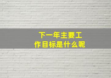 下一年主要工作目标是什么呢