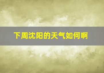 下周沈阳的天气如何啊