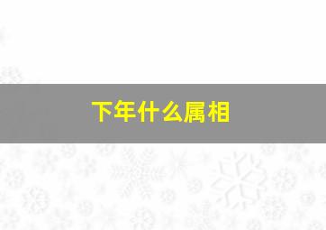 下年什么属相