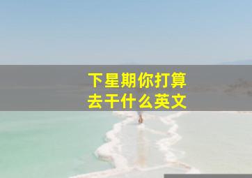 下星期你打算去干什么英文